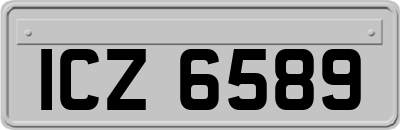 ICZ6589