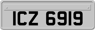 ICZ6919