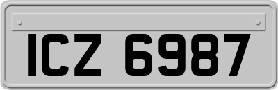 ICZ6987