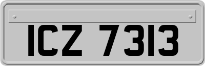 ICZ7313