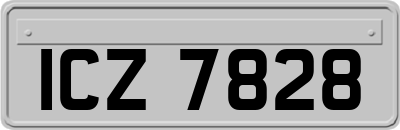 ICZ7828