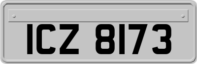 ICZ8173