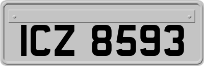 ICZ8593