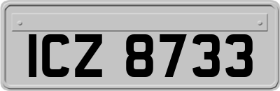ICZ8733