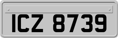 ICZ8739