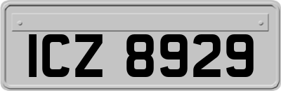 ICZ8929