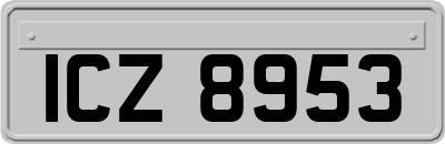 ICZ8953