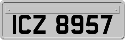 ICZ8957