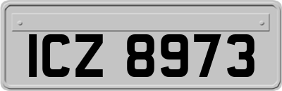 ICZ8973