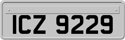ICZ9229