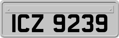 ICZ9239