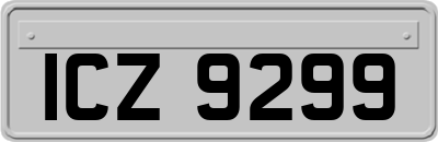 ICZ9299