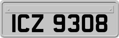 ICZ9308
