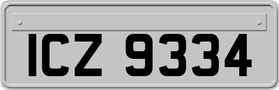 ICZ9334