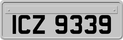 ICZ9339