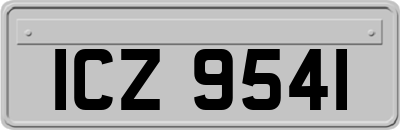 ICZ9541