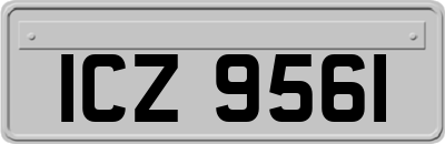 ICZ9561