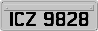 ICZ9828