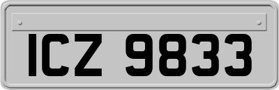 ICZ9833