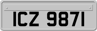 ICZ9871
