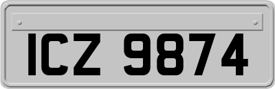 ICZ9874