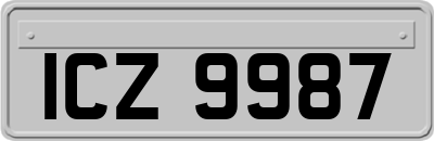 ICZ9987