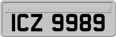 ICZ9989
