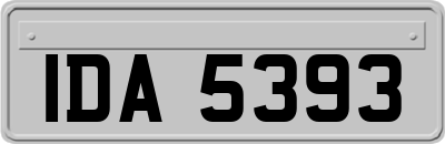 IDA5393