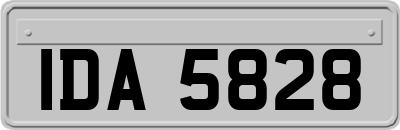 IDA5828