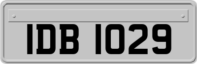 IDB1029