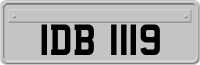IDB1119