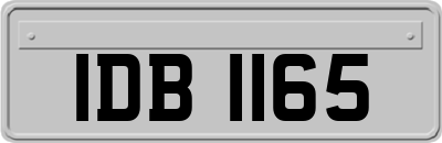 IDB1165