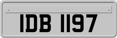 IDB1197