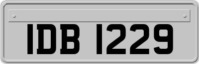 IDB1229