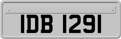 IDB1291