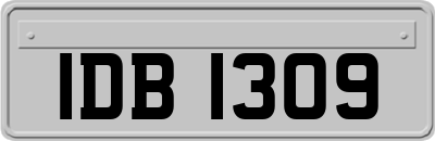 IDB1309