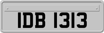 IDB1313