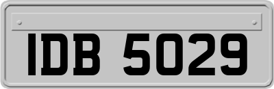 IDB5029