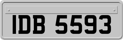 IDB5593