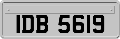 IDB5619