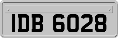 IDB6028