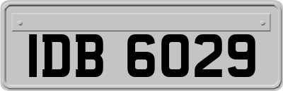 IDB6029