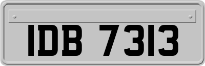 IDB7313
