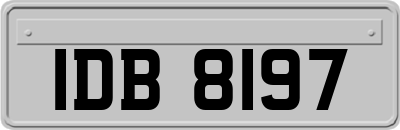 IDB8197