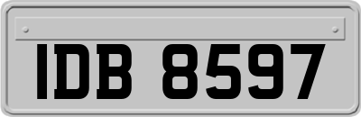 IDB8597