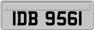 IDB9561
