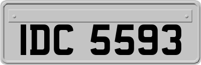 IDC5593
