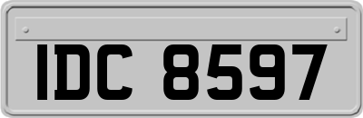 IDC8597