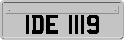 IDE1119