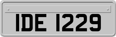 IDE1229